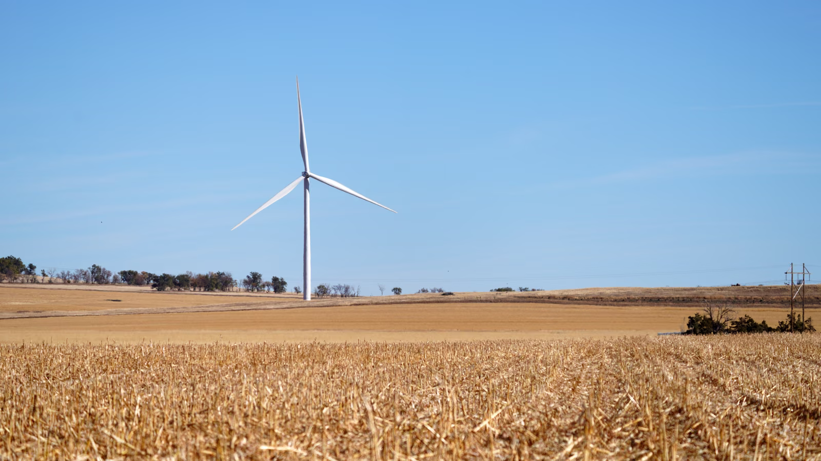 FRAUD IN CARBON OFFSET MARKETS