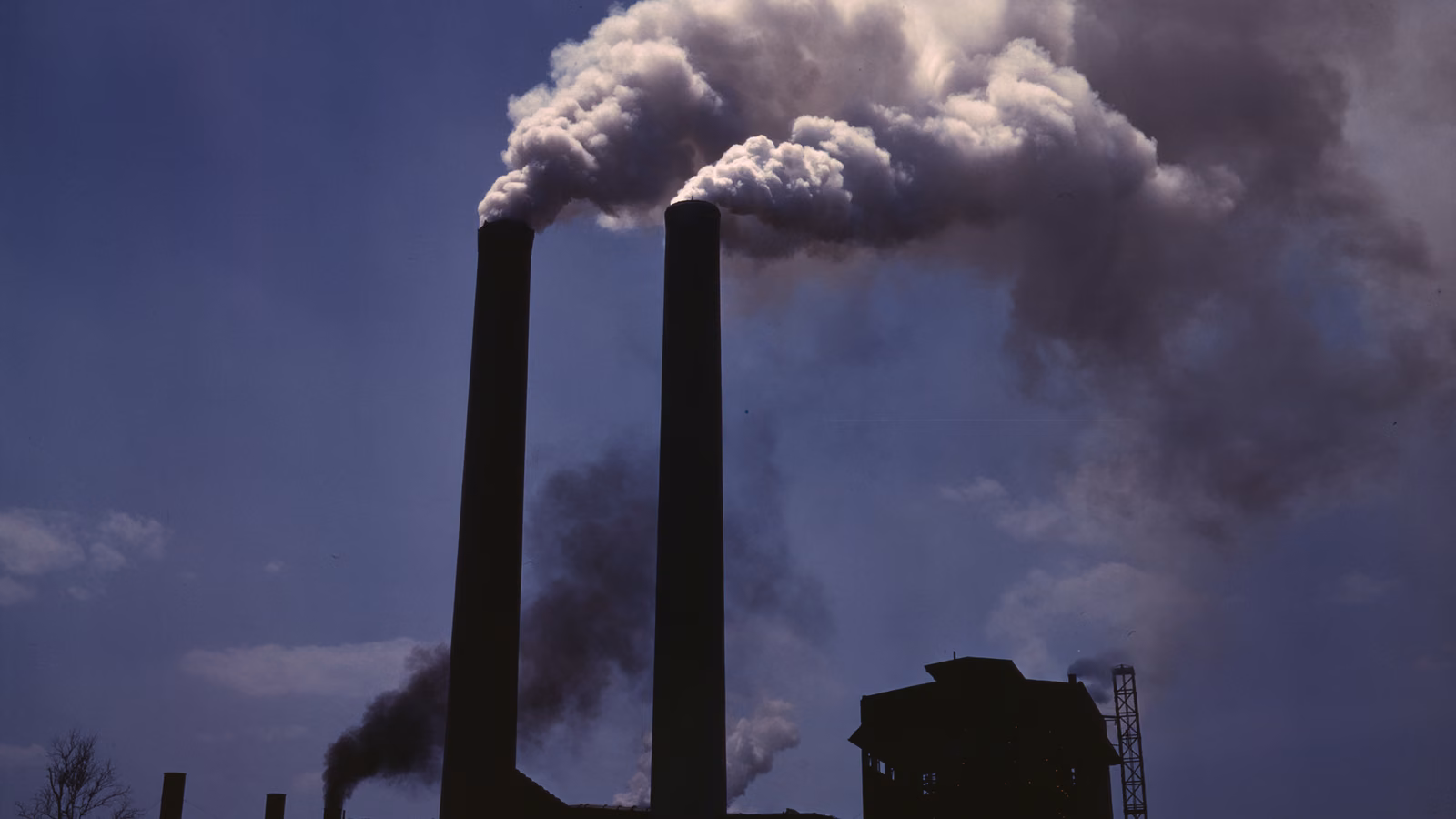 Greenwashing Lawsuits